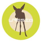 Negozi borse Lassig