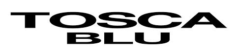 Negozi borse Tosca Blu